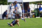 MSoc vs RWU  Men’s Soccer vs Roger Williams University. - Photo by Keith Nordstrom : Wheaton, MSoccer, MSoc, Men’s Soccer